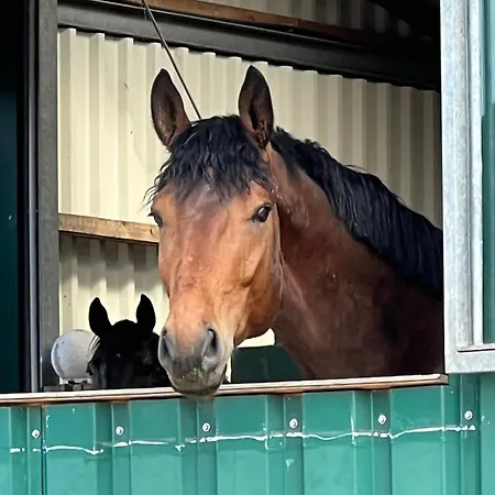 Hof Eichendiek Time Out Village- Haus Naturruhe Casa de Férias *