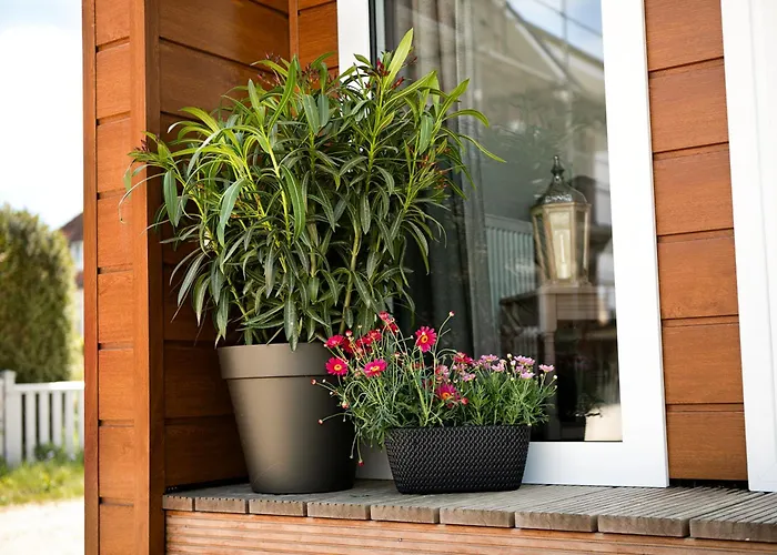 Hof Eichendiek Time Out Village