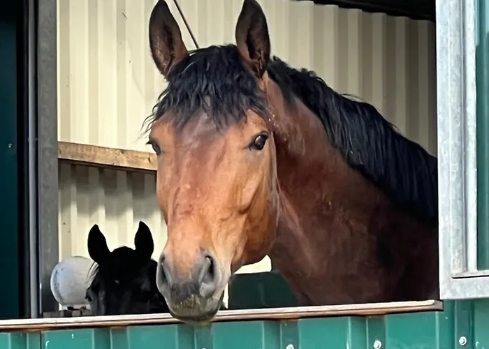 Hof Eichendiek Time Out Village Vakantiehuis *