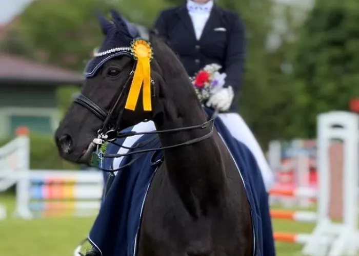 Hof Eichendiek Time Out Village * Blekendorf