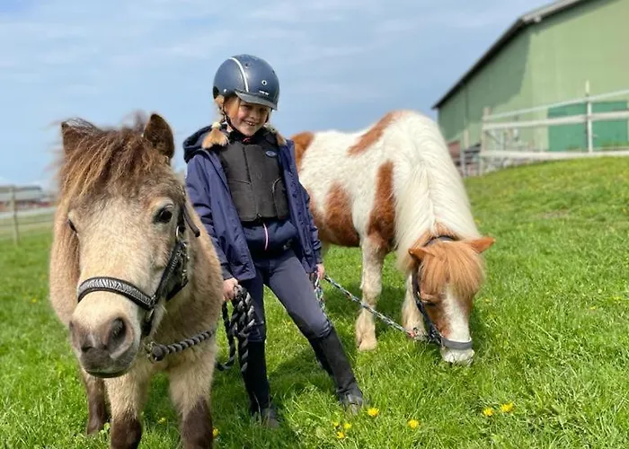 Hof Eichendiek Time Out Village