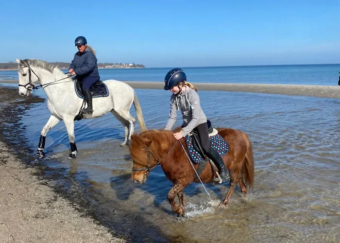 Hof Eichendiek Time Out Village Vakantiehuis