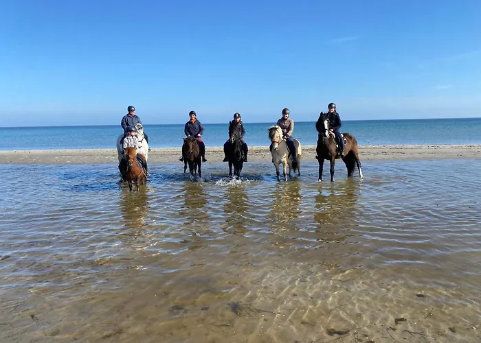 Hof Eichendiek Time Out Village Vakantiehuis Blekendorf