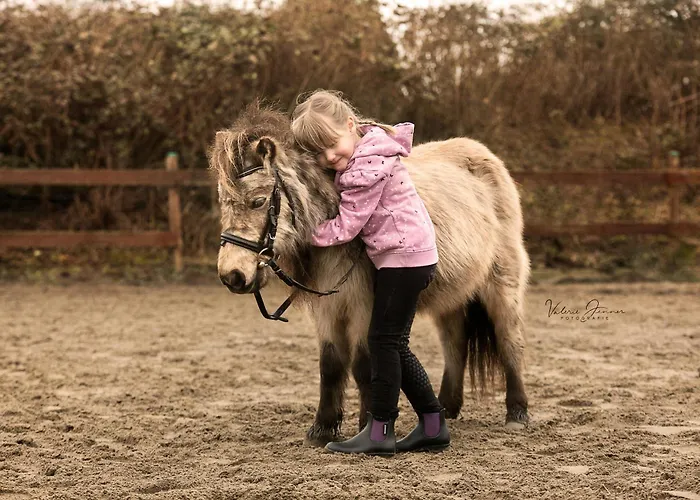 Hof Eichendiek Time Out Village Vakantiehuis Blekendorf