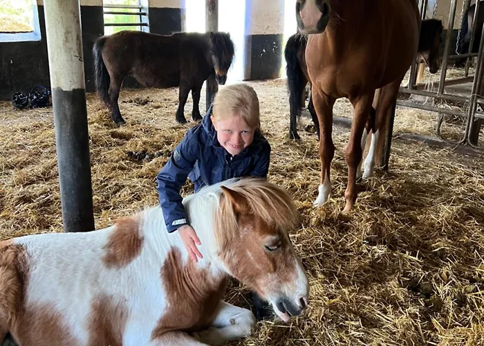 Hof Eichendiek Time Out Village * Blekendorf