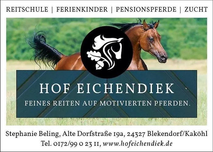 Hof Eichendiek Time Out Village Vakantiehuis