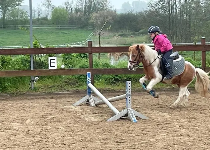 Vakantiehuis Hof Eichendiek Time Out Village *